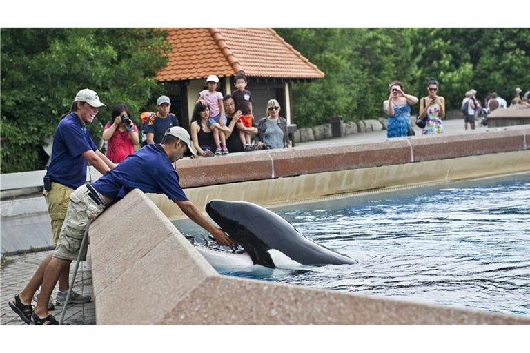 Der inzwischen geschlossene Freizeitpark in Kanada warnt, er müsse womöglich seine Tiere einschläfern. (Archivbild)