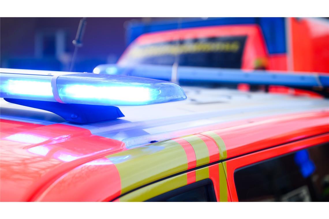 Auto prallt gegen Baum – Baby und 13-jähriger Junge sterben Der Junge und der Säugling starben noch am Unfallort. (Symbolbild)