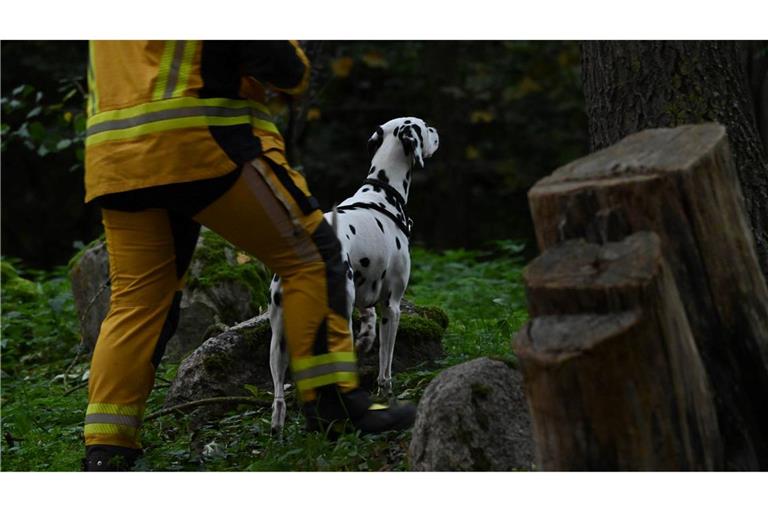 "Der Junge war möglicherweise auf dem Weg zu seinem Vater", sagte die Sprecherin.