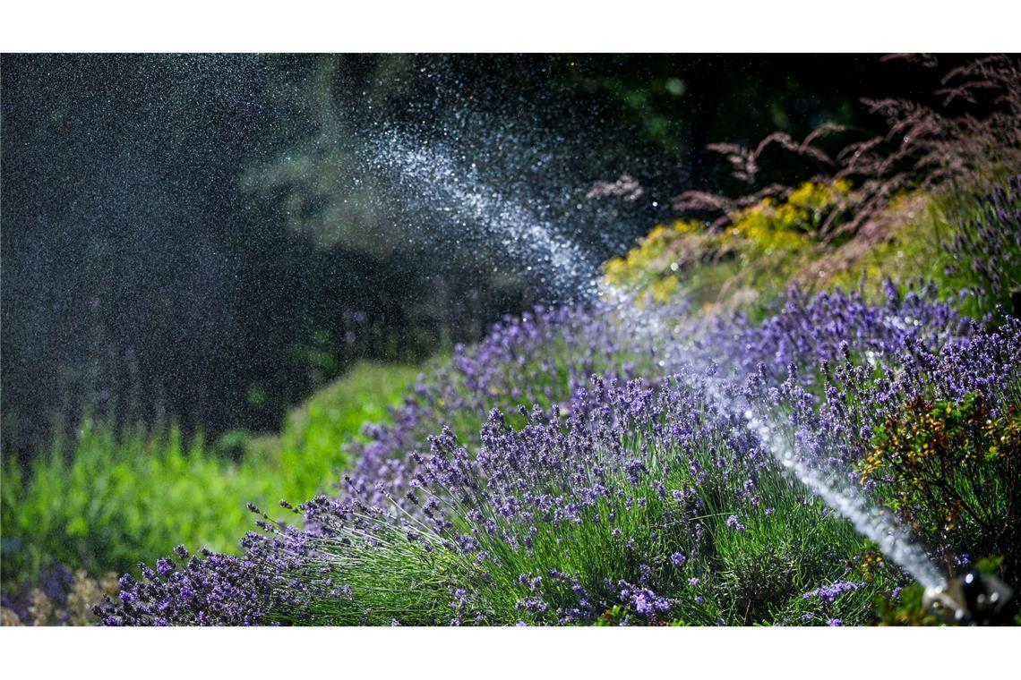 Wetterdienst: Juni war außergewöhnlich warm Der Juni war deutlich zu warm und zu trocken.