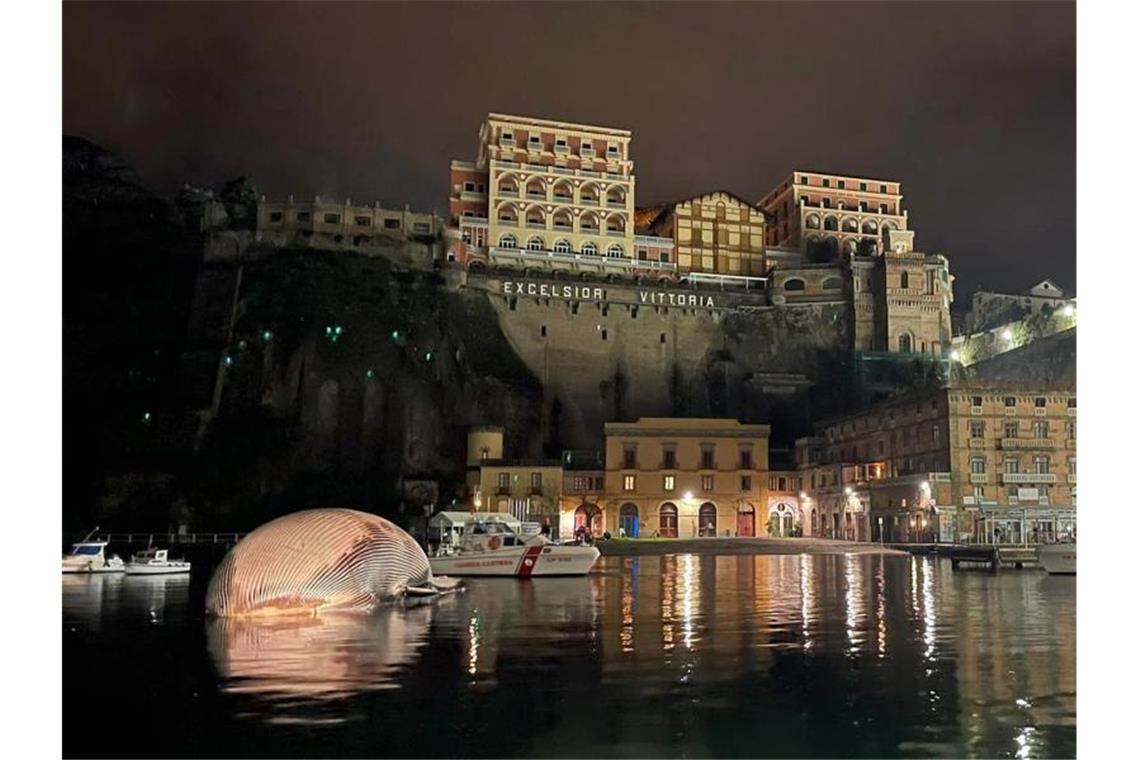 Der Kadaver eines Riesenwals liegt im Hafenbecken von Sorrento. Der riesige, tote Wal gibt den Experten in Italien Rätsel auf. Foto: ---/Amp Punta Campanella/AP/dpa