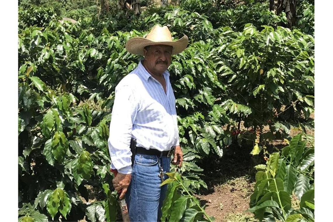 Der Kaffeebauer Jose de Leon steht auf einer Plantage im guatemaltekischen Department San Marcos. Wegen des niedrigen Weltmarktpreises sehen die Erzeuger ihre Existenz gefährdet. Viele versuchen, in die USA auszuwandern. Foto: Nick Kaiser