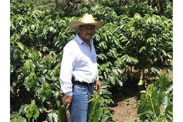 Der Kaffeebauer Jose de Leon steht auf einer Plantage im guatemaltekischen Department San Marcos. Wegen des niedrigen Weltmarktpreises sehen die Erzeuger ihre Existenz gefährdet. Viele versuchen, in die USA auszuwandern. Foto: Nick Kaiser