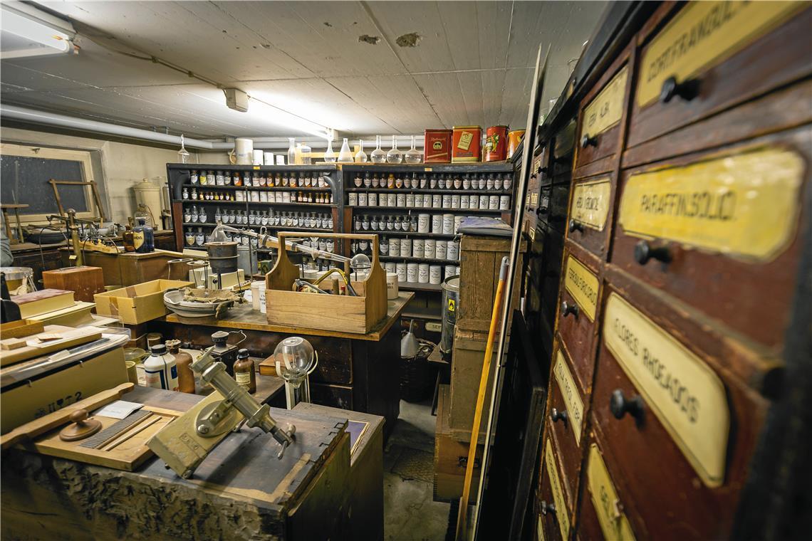 Der Keller der St.-Walterich-Apotheke gleicht einem Museum, das über 300 Jahre alte Schätze bewahrt. Fotos: Alexander Becher