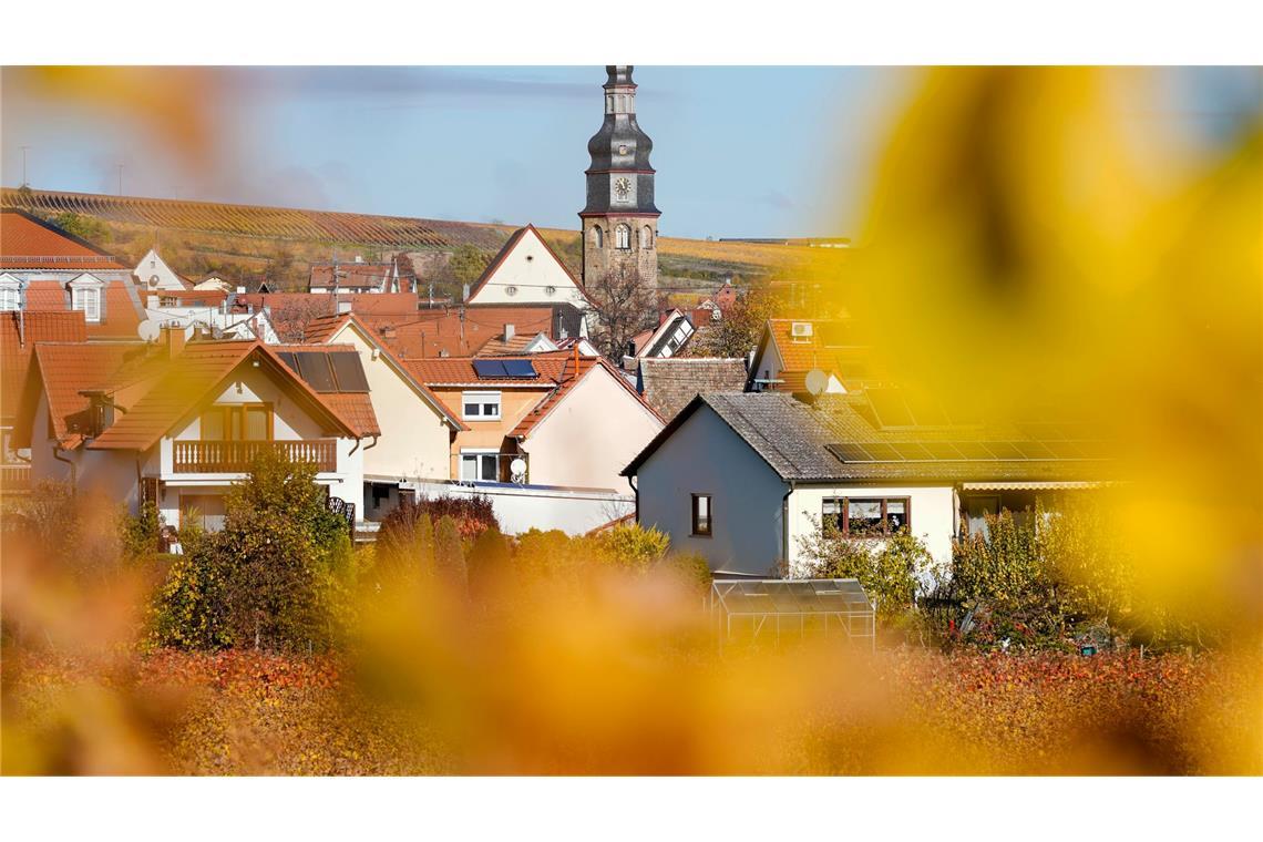 Merz will mit Trump in die Pfalz Der kleine Winzerort Kallstadt an der Weinstraße ist der Heimatort von Trumps Vorfahren. (Archivbild)