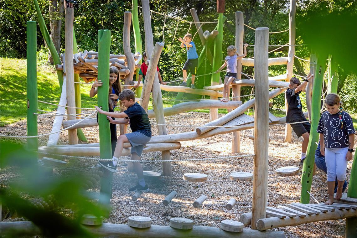 Spielplatz in Oberweissach ist eingeweiht Der Kletterwald eignet sich bestens, um die Balance und die Geschicke des Körpers herauszufordern. Fotos: Alexander Becher
