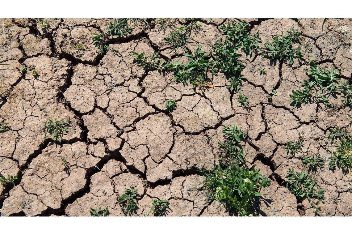 Der Klimawandel zeigt sich in Europa immer deutlicher (Symbolfoto).