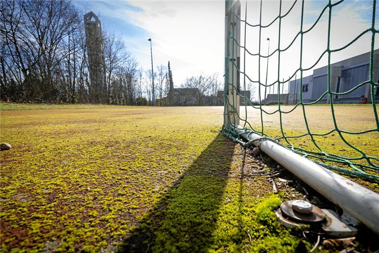 Der Kunststoffbelag der Sportanlagen fehlt zum Teil ganz oder ist massiv vermoost. Foto: Alexander Becher