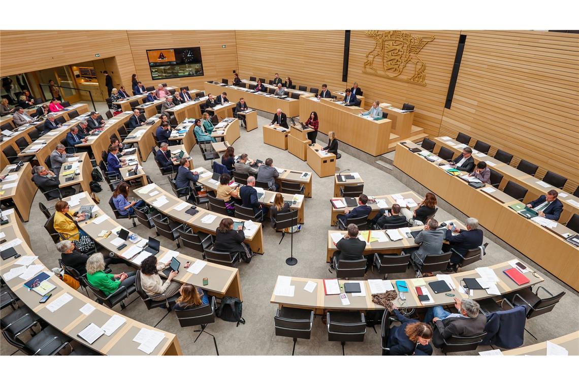 Der Landtag in Baden-Württemberg bleibt in Männerhand.