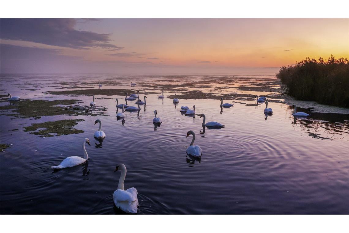 Der letzte Sommertag