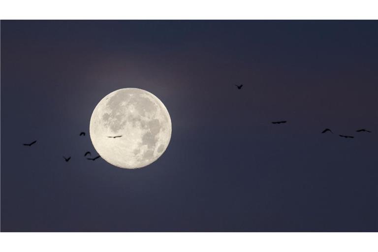 Der letzte Vollmond des Jahres wird auch "Cold Moon" oder "Julmond" genannt. (Archivbild)