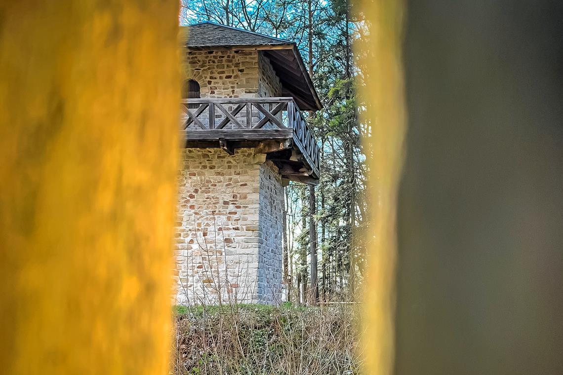 Der Limes als lebendiges Geschichtsbuch Der Limesturm in Grab ist Ziel beziehungsweise Ausgangsort von Touren, die Teil der Veranstaltungsreihe sind. Foto: Alexander Becher