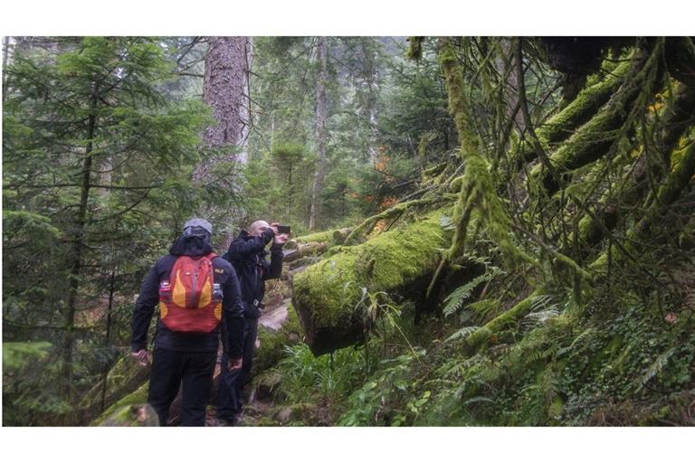 Der Lückenschluss im Nationalpark kommt, aber er fällt deutlich kleiner aus als erwartet.