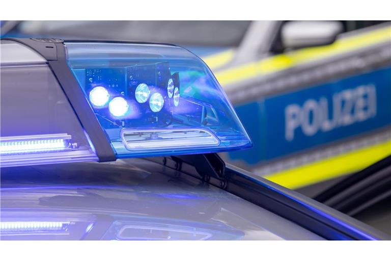 Der Mann sprang auf der Flucht vor der Polizei in den Neckar. (Symbolbild)