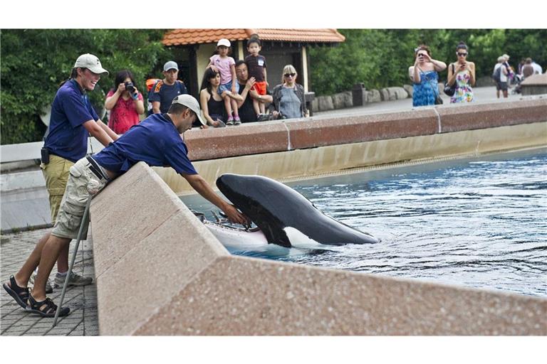 Der „Marineland“-Themenpark steht in der Kritik.