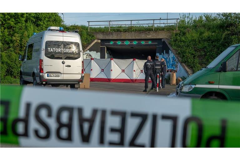 Der mutmaßliche Täter sitzt unter Mordverdacht in Untersuchungshaft. (Archivbild)