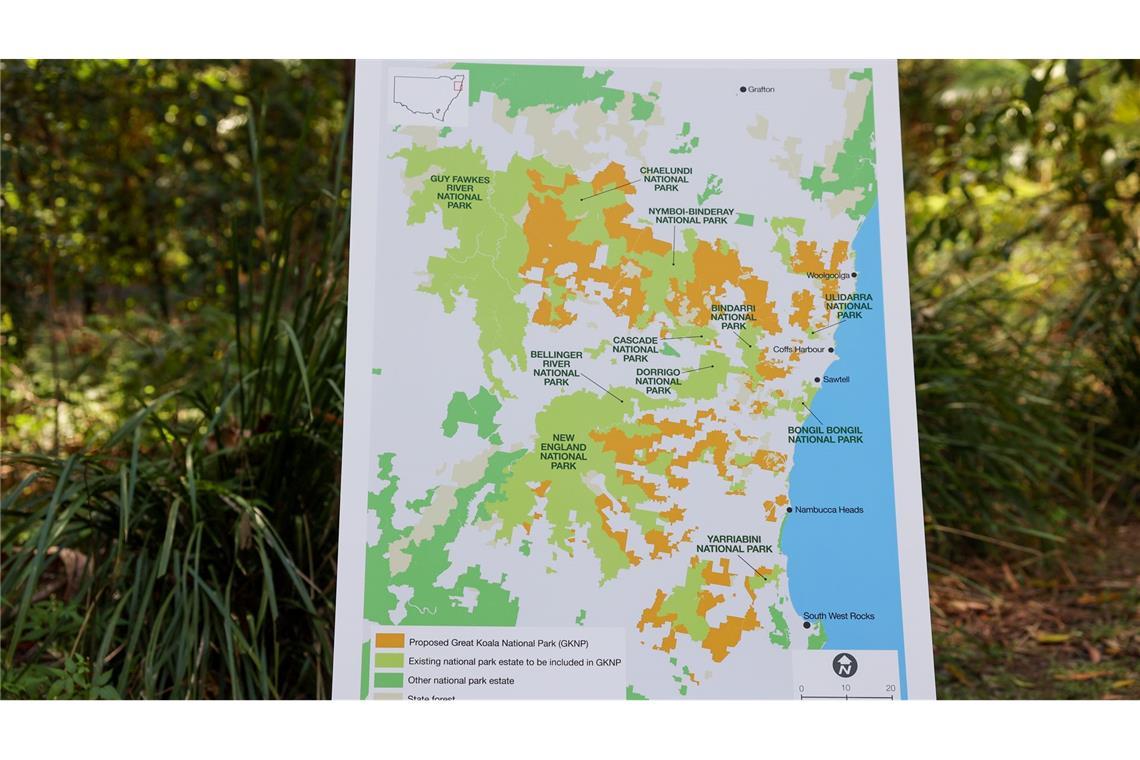 Australien schafft riesigen Nationalpark für Tausende Koalas Der Nationalpark wird einer der größten in Australien.