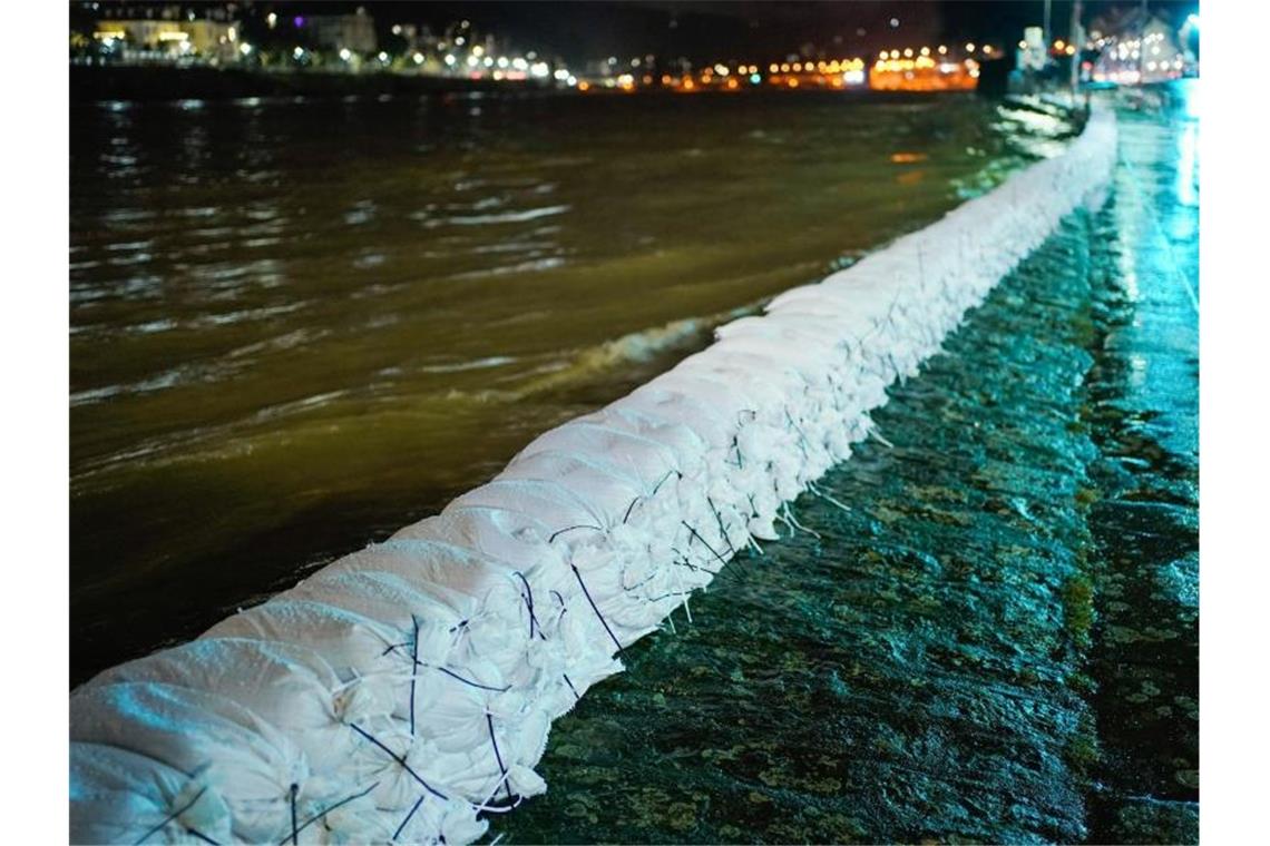 Der Neckar in Heidelberg führt Hochwasser. Foto: Uwe Anspach/dpa