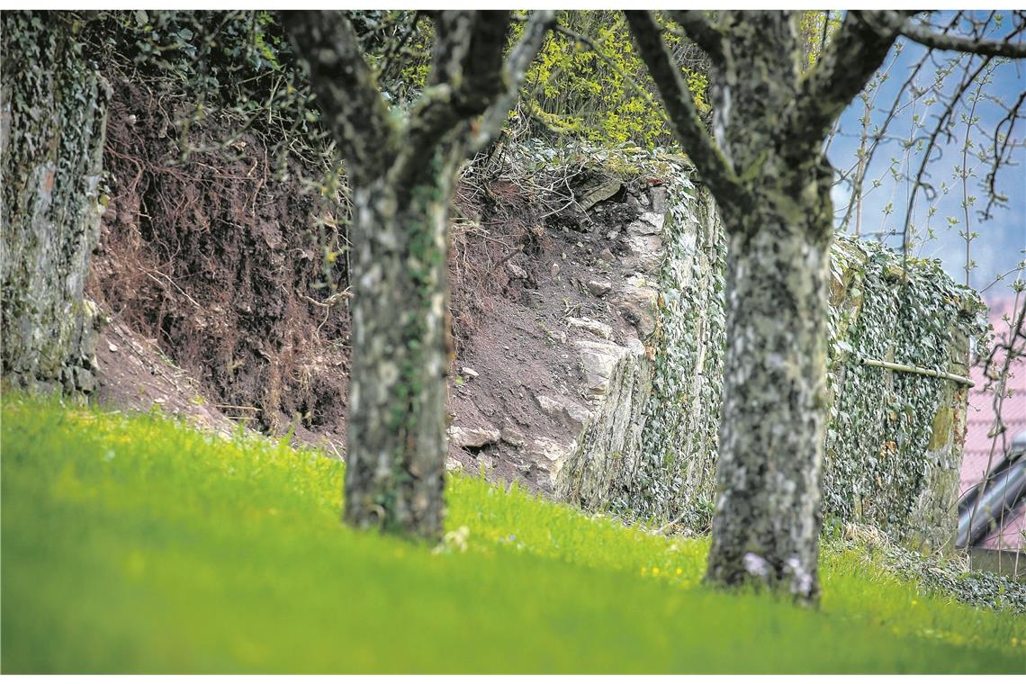 Der nördliche Teil der Friedhofsmauer in Kleinaspach ist baufällig und teilweise eingestürzt. Jetzt soll er wieder aufgebaut werden. Foto: A. Becher