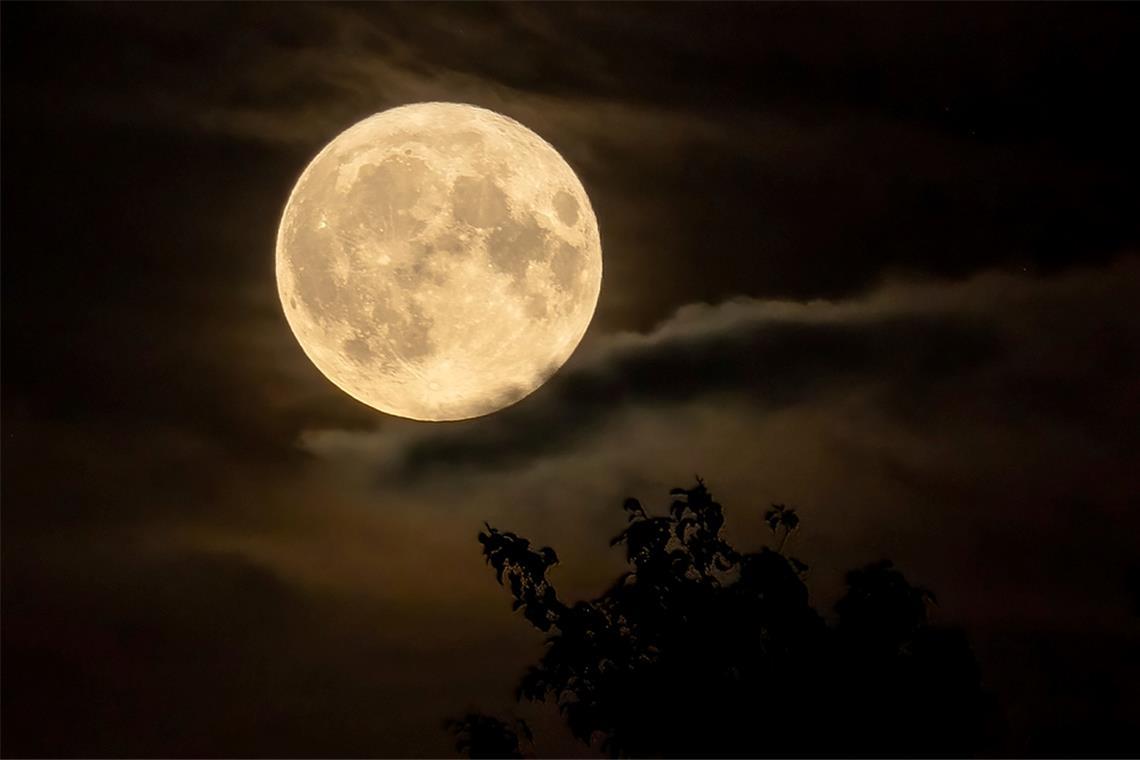 Der November Vollmond ist der erdnächste des Jahres 2025 – ein Supermond. Er wirkt größer als gewöhnlich und leuchtet sehr hell. Zu dieser Zeit sehen Sie ihn am besten.