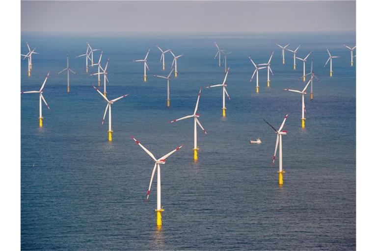 Der Offshore-Windpark „Butendiek“, etwa 30 Kilometer vor der Insel Sylt in der Nordsee. Foto: Daniel Reinhardt/dpa