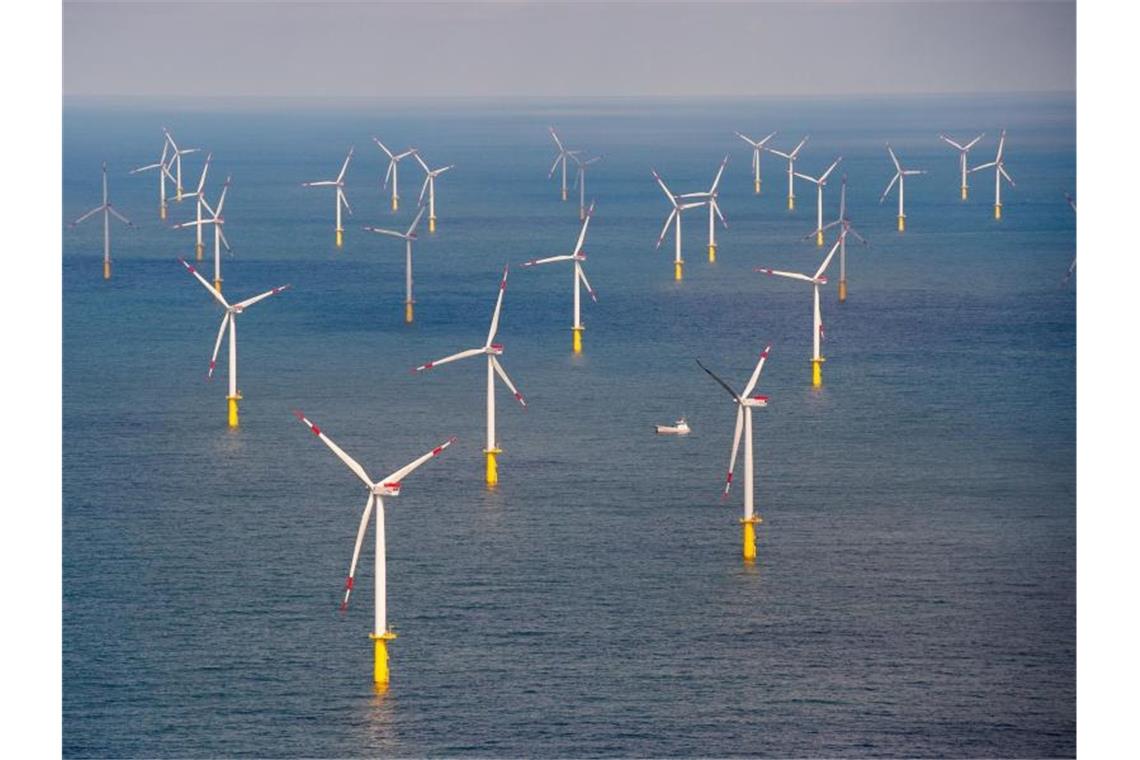Der Offshore-Windpark Butendiek, etwa 30 Kilometer vor der Insel Sylt in der Nordsee. Foto: Daniel Reinhardt