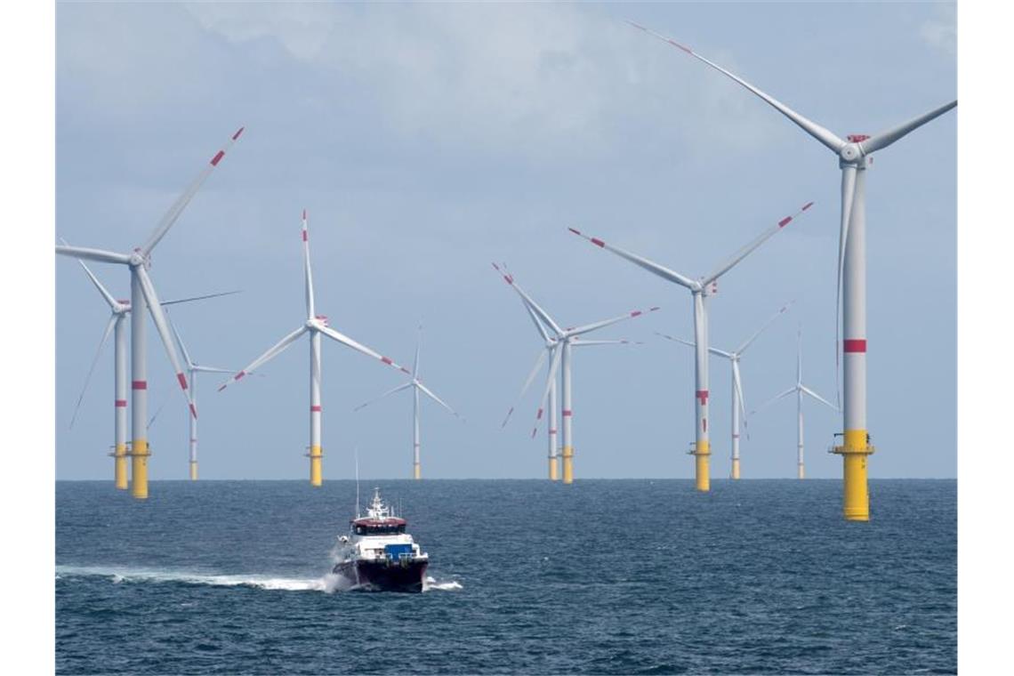 Der Offshore-Windpark „Nordsee 1“ liegt vor der ostfriesischen Insel Spiekeroog. Foto: picture alliance / Ingo Wagner/dpa