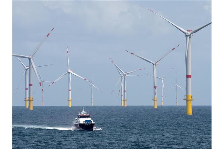 Der Offshore-Windpark „Nordsee 1“ liegt vor der ostfriesischen Insel Spiekeroog. Foto: picture alliance / Ingo Wagner/dpa
