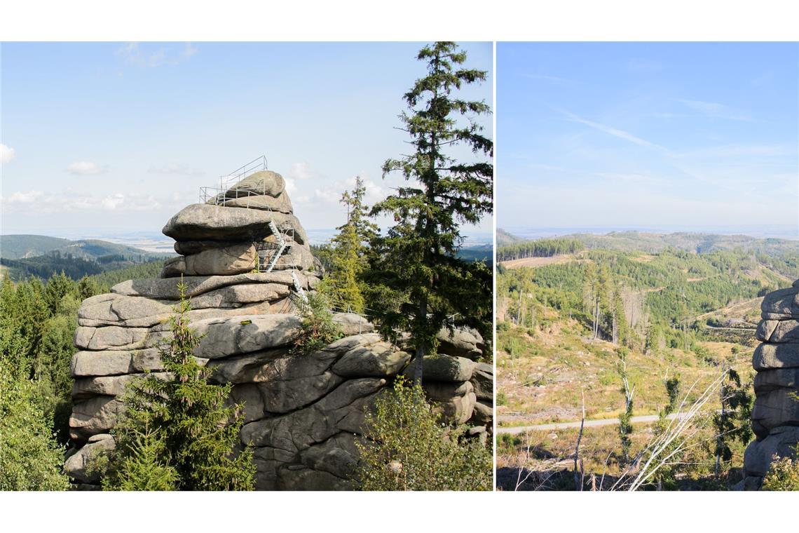 Fotos zeigen, wie der Klimawandel Deutschland verändert Der Ottofelsen im Harz 2014 und 2023: Seit 2018 gibt es im Harz ein immenses Baumsterben. Damals warf ein Orkan zahlreiche Bäume um. Das Totholz in Verbindung mit der Trockenheit in den vergangenen Jahren führte zu einer besonders starken Ausbreitung des Borkenkäfers und zu einem massiven Fichtensterben.