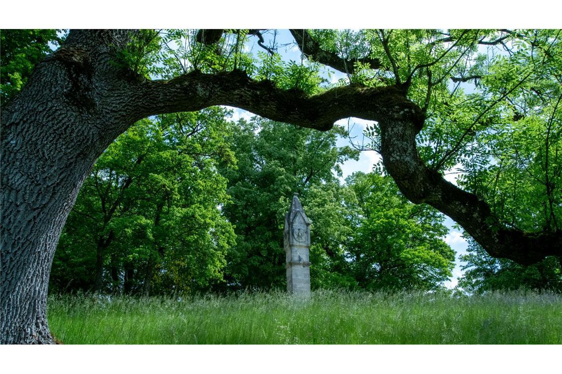 Historische Parkanlagen im Klimastress Der Park des Schlosses Rosenau bei Coburg in Bayern.