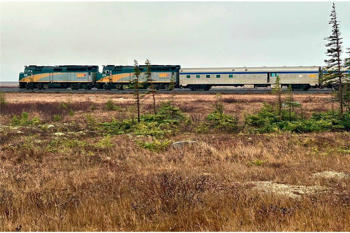 Der Personenzug von Via Rail-Zug in der kanadischen Tundra