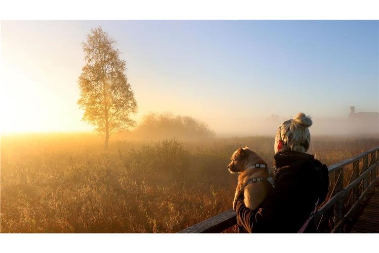 Der physiologische Tageszyklus des Menschen orientiert sich am Sonnenaufgang. (Archivbild)