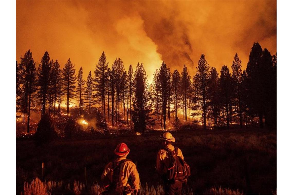 Der Plumas National Forest brennt: Nach Einschätzung von Wissenschaftlern verschärft der Klimawandel die Feuerlage. Foto: Noah Berger/AP/dpa