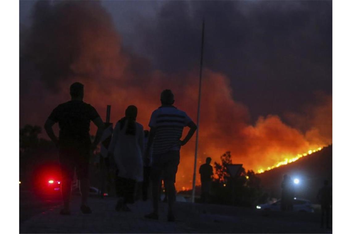 Der Rauch der Waldbrände zieht über das Feld - Sonnenblumen lassen die Köpfe hängen. Foto: Thodoris Nikolaou/AP/dpa