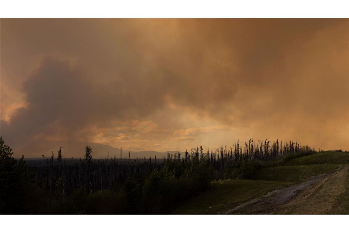 In weiten Teilen Kanadas lodern Feuer außer Kontrolle Der Rauch eines Waldbrandes hängt in der Luft über dem Highway 97 (British Columbia).