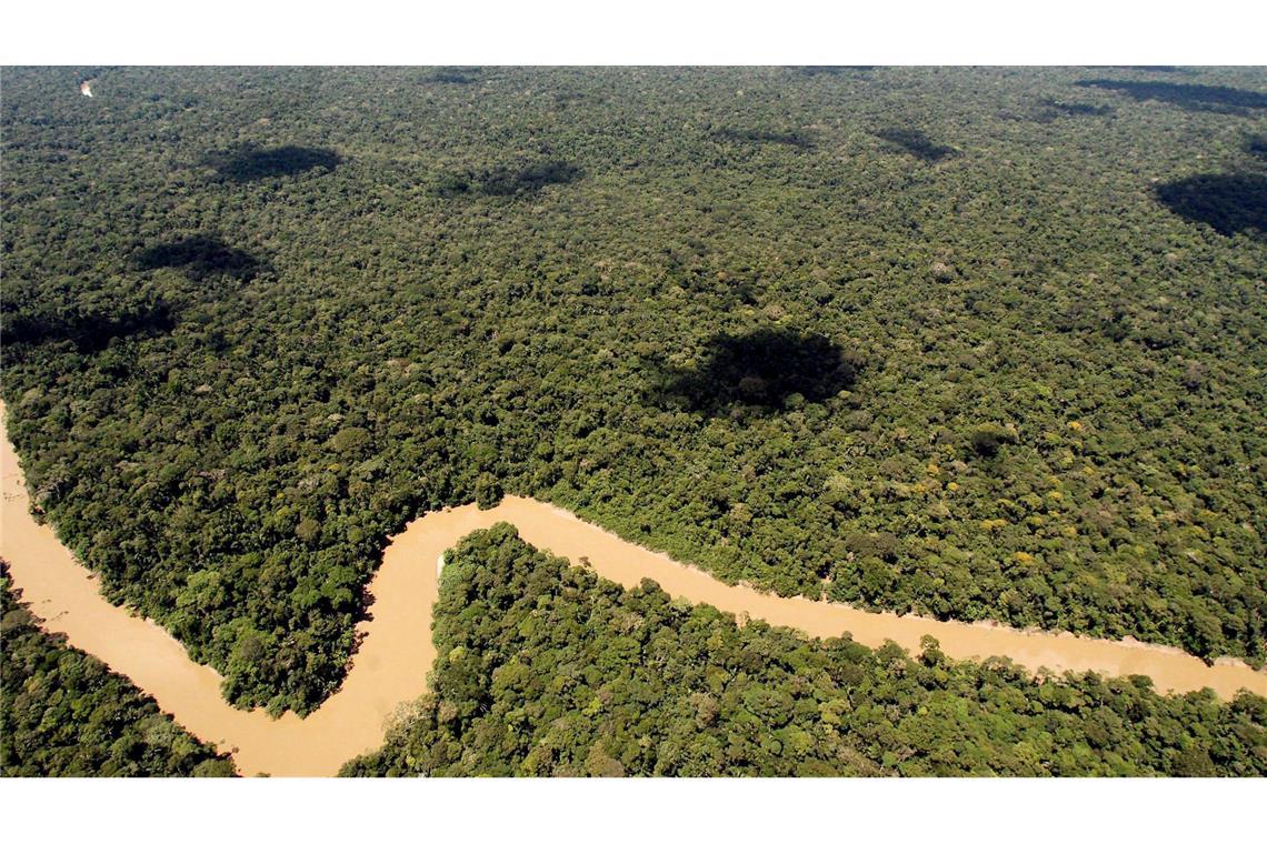 Der Regenwald in Ecuador ist schon lange bedroht. Doch es gibt Hoffnung.