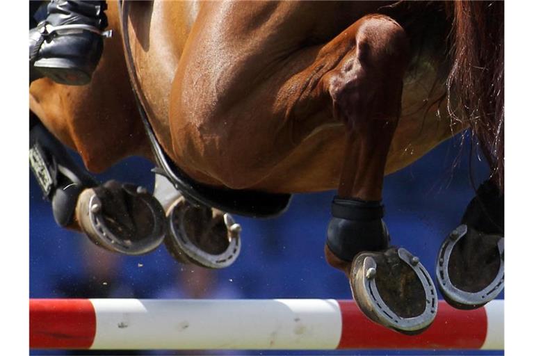 Der Reitsport-Weltverband FEI hat Tricksereien bei der Olympia-Qualifikation aufgedeckt. Foto: Malte Christians/dpa