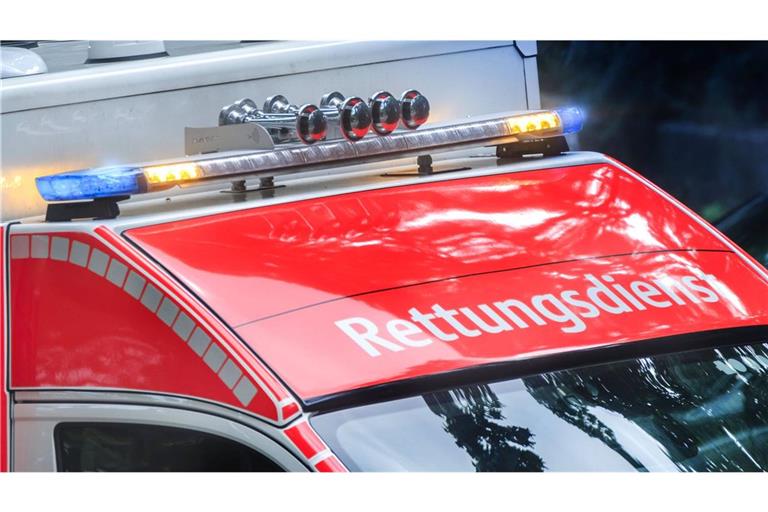 Der Rettungsdienst, ein Rettungshubschrauber sowie die Feuerwehr mit einem Großaufgebot waren vor Ort. (Symbolbild)