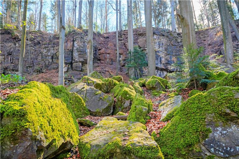 Der rezertifizierte Qualitätsnaturpark entwickelt sich stetig weiter. Foto: Stefan Bossow 