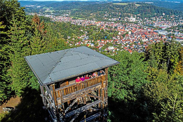 Der Riesbergturm. Foto: Jan Burgermeister