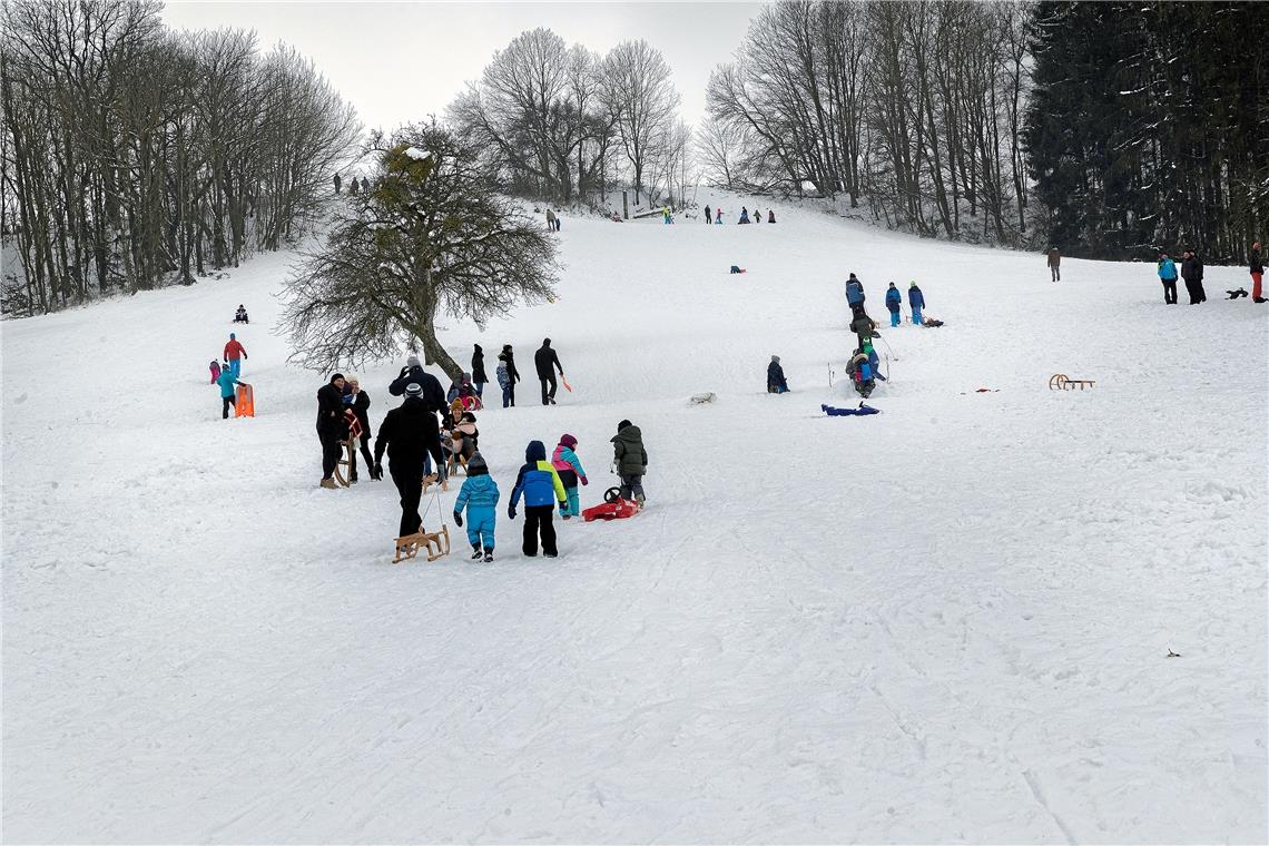Flockdown im Lockdown Der Rodelhang beim alten Skilift in Spiegelberg-Jux ist gut besucht.