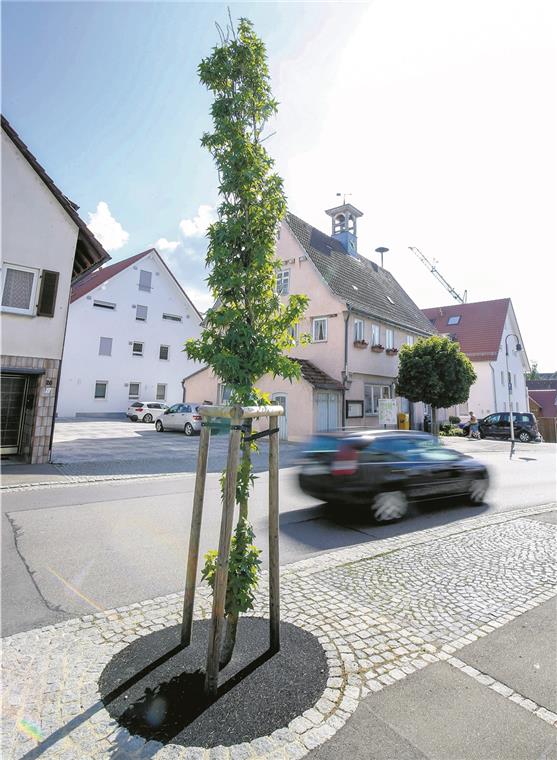 Sieht aus wie Asphalt, ist aber keiner Der Schein trügt. Bei dem Belag handelt es sich nicht um Asphalt, sondern um eine Gummigranulatmischung. Fotos: A. Becher