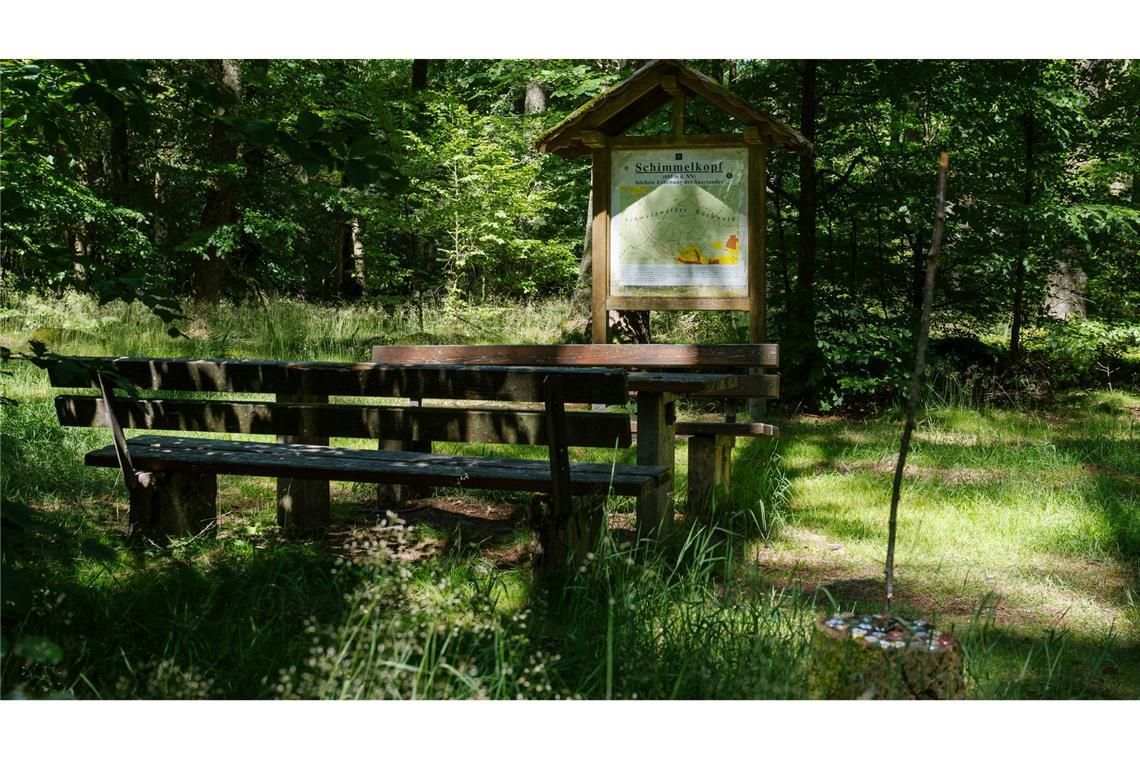 Kampf der Kuppen im Saarland Der Schimmelkopf ist 694,8 Meter hoch, der Dollberg bei Nohfelden aber 695,4 Meter. Sechzig Zentimeter höher.