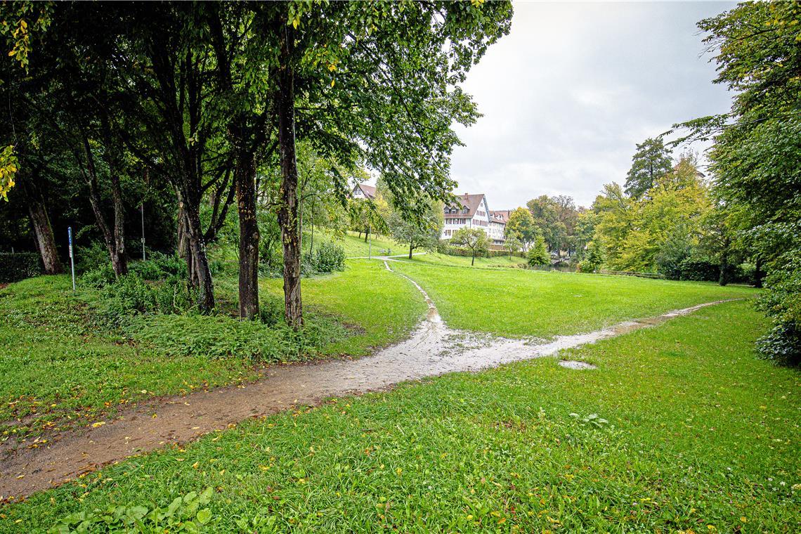 Der Schlosspark soll in einer abgespeckten Variante aufgewertet werden. Archivfoto: Alexander Becher