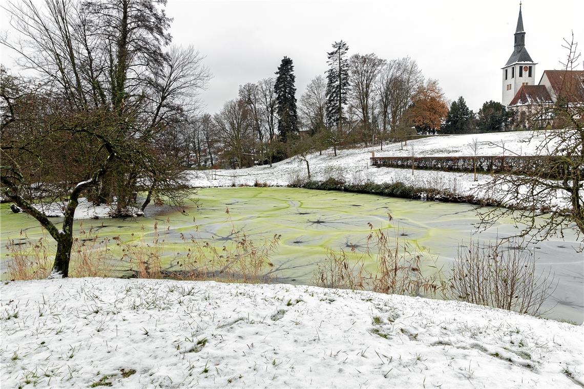 Der Schlosssee in Oppenweiler hat mit seiner Grünfärbung Fragen aufgeworfen.Foto: J. Fiedler