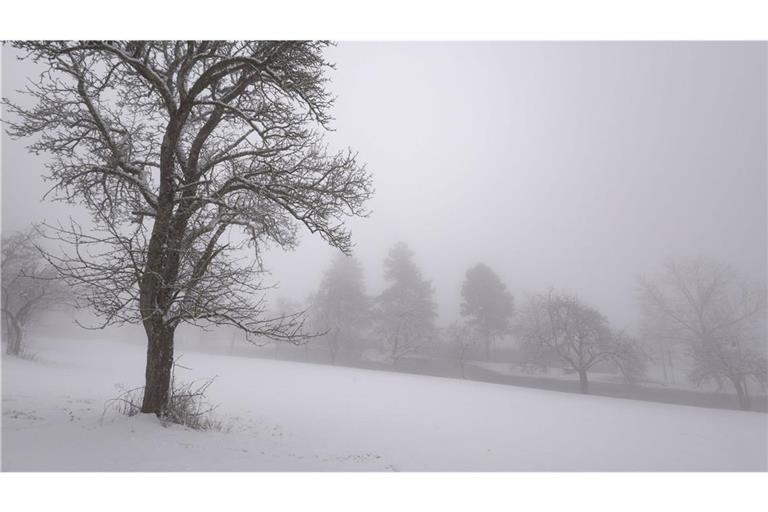 Der Schnee soll vorerst liegen bleiben, die Temperaturen bleiben kühl (Symbolbild).