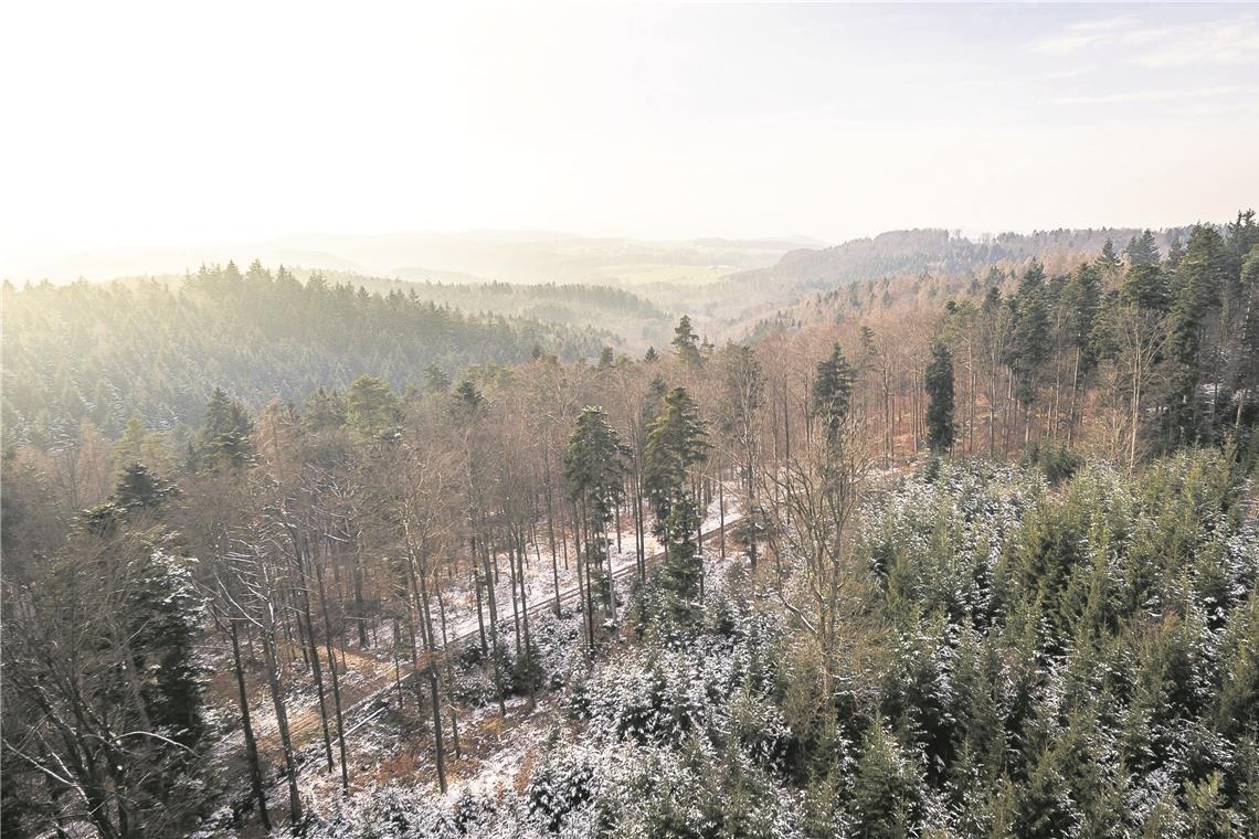 Der Schwäbisch-Fränkische Wald steht im Mittelpunkt der Facebook-Gruppe.Foto: A. Becher