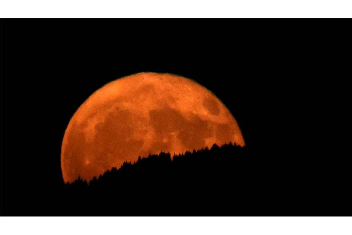 Bilder des Tages Der sogenannte Erdbeermond geht über einem Bergwald in Bayern auf.