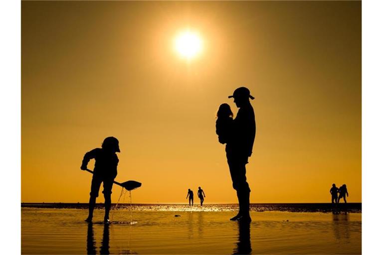 Der Sommer 2019 war besonders heiß und trocken, gleich mehrere Hitzerekorde wurden geknackt. Foto: Mohssen Assanimoghaddam/dpa