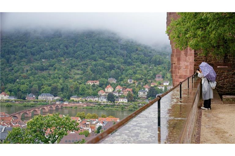 Der Sommer in Baden-Württemberg war wärmer aber auch nasser.